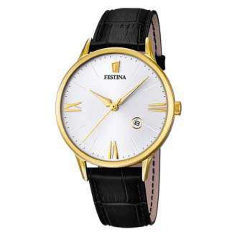 Festina Mens Watch F16825/1